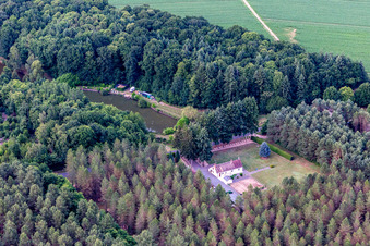 Dollon dans le département Sarthe, France d'en haut