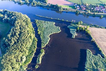 Vue aérienne de Vieux Danube à Gmünder Au à le quartier Gmünd in Pfatter dans le département Bavière, Allemagne