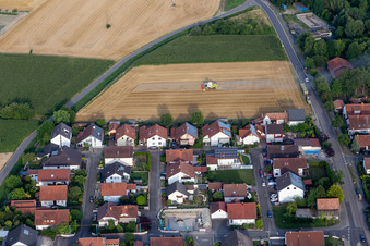 Vue aérienne de Chemin de jardin à Neupotz dans le département Rhénanie-Palatinat, Allemagne