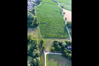 Photographie aérienne de Labyrinthe de maïs à Leimersheim dans le département Rhénanie-Palatinat, Allemagne