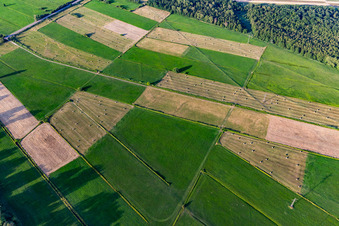 Vue aérienne de Oberbruchwiesen à le quartier Graben in Graben-Neudorf dans le département Bade-Wurtemberg, Allemagne