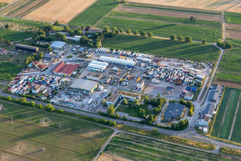 Vue aérienne de Zone industrielle Karl-Löschstr à Lingenfeld dans le département Rhénanie-Palatinat, Allemagne