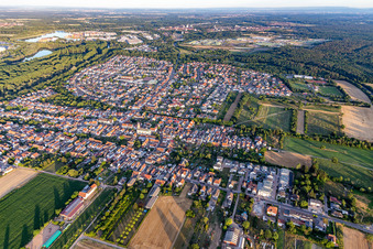Vue aérienne de Vue du nord à Lingenfeld dans le département Rhénanie-Palatinat, Allemagne