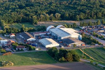 Vue aérienne de Filiale Lustadt d'ALBA Electronics Recycling GmbH à le quartier Niederlustadt in Lustadt dans le département Rhénanie-Palatinat, Allemagne