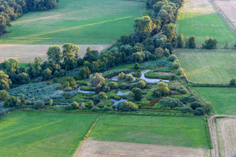Vue aérienne de Biotope sur la Queich à le quartier Niederhochstadt in Hochstadt dans le département Rhénanie-Palatinat, Allemagne