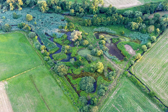 Vue aérienne de Biotope sur la Queich à le quartier Niederhochstadt in Hochstadt dans le département Rhénanie-Palatinat, Allemagne