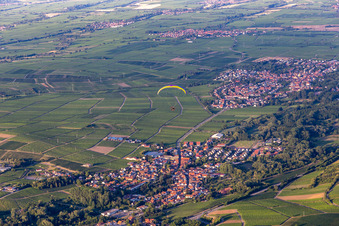 Vue oblique de Siebeldingen dans le département Rhénanie-Palatinat, Allemagne
