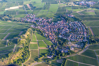 Vue aérienne de Arzheim à Ilbesheim bei Landau dans le département Rhénanie-Palatinat, Allemagne