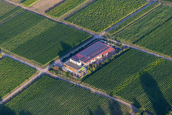 Vue aérienne de Domaine viticole Vögeli à le quartier Wollmesheim in Landau in der Pfalz dans le département Rhénanie-Palatinat, Allemagne