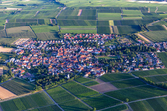 Vue aérienne de Wollmesheim à le quartier Mörzheim in Landau in der Pfalz dans le département Rhénanie-Palatinat, Allemagne