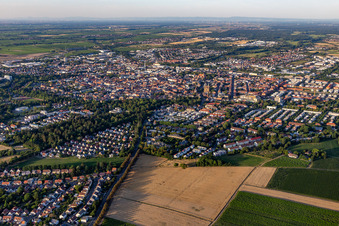 Vue aérienne de Rue Wollmesheimer à Landau in der Pfalz dans le département Rhénanie-Palatinat, Allemagne
