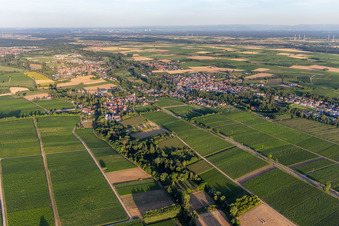 Enregistrement par drone de Quartier Ingenheim in Billigheim-Ingenheim dans le département Rhénanie-Palatinat, Allemagne