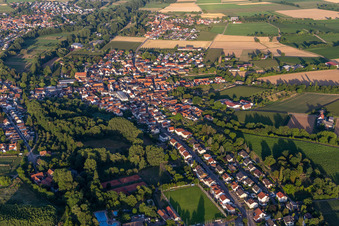 Quartier Ingenheim in Billigheim-Ingenheim dans le département Rhénanie-Palatinat, Allemagne du point de vue du drone