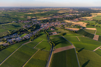 Vue aérienne de Vue de la ville depuis le sud-ouest à le quartier Ingenheim in Billigheim-Ingenheim dans le département Rhénanie-Palatinat, Allemagne