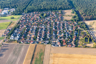 Vue oblique de Aux carrières d'argile à Rheinzabern dans le département Rhénanie-Palatinat, Allemagne