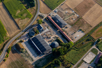 Vue aérienne de Erlenhof à Neupotz dans le département Rhénanie-Palatinat, Allemagne