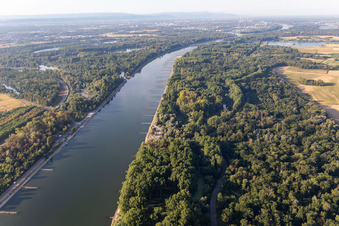 Vue aérienne de Épis secs dans le Rhin à marée basse à Leimersheim dans le département Rhénanie-Palatinat, Allemagne