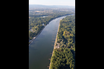 Photographie aérienne de Épis secs dans le Rhin à marée basse à Leimersheim dans le département Rhénanie-Palatinat, Allemagne