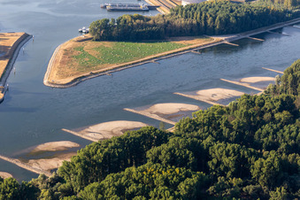 Photographie aérienne de Épis et bancs de sable secs dans le Rhin en raison des basses eaux à Neupotz dans le département Rhénanie-Palatinat, Allemagne