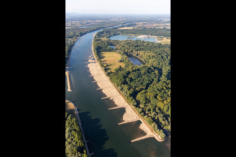 Photographie aérienne de Épis et bancs de sable secs dans le Rhin en raison des basses eaux à le quartier Maximiliansau in Wörth am Rhein dans le département Rhénanie-Palatinat, Allemagne
