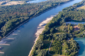 Vue aérienne de Épis et bancs de sable secs dans le Rhin en raison des basses eaux à Neuburg am Rhein dans le département Rhénanie-Palatinat, Allemagne