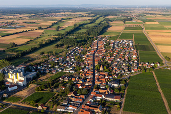 Vue aérienne de Moulin à grains de Cornexo GmbH à Freimersheim dans le département Rhénanie-Palatinat, Allemagne