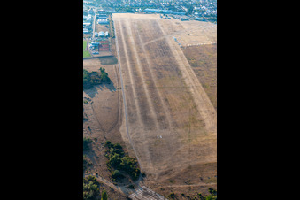 Vue aérienne de Réunion de planeurs à l'aérodrome de Lachen - Speyerdorf à le quartier Speyerdorf in Neustadt an der Weinstraße dans le département Rhénanie-Palatinat, Allemagne