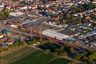 Vue aérienne de Gemeindewerke Haßloch GmbH sur la voie ferrée à Haßloch dans le département Rhénanie-Palatinat, Allemagne