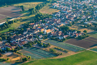 Freisbach dans le département Rhénanie-Palatinat, Allemagne vue d'en haut