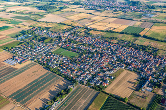 Photographie aérienne de Gommersheim dans le département Rhénanie-Palatinat, Allemagne