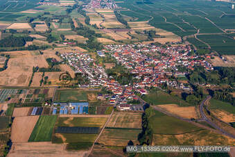 Quartier Geinsheim in Neustadt an der Weinstraße dans le département Rhénanie-Palatinat, Allemagne depuis l'avion