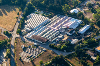 Vue aérienne de Reiner Schehlmann à Schifferstadt dans le département Rhénanie-Palatinat, Allemagne