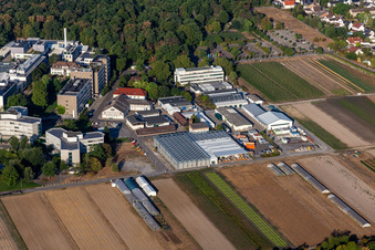 Centre agricole BASF à Limburgerhof dans le département Rhénanie-Palatinat, Allemagne vue d'en haut
