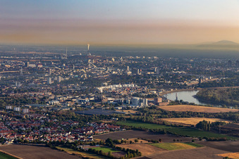 Vue aérienne de Et port du Rhin à le quartier Rheingönheim in Ludwigshafen am Rhein dans le département Rhénanie-Palatinat, Allemagne