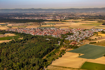 Vue aérienne de Waldsee dans le département Rhénanie-Palatinat, Allemagne