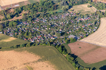 Photographie aérienne de Piège à balles pour jardinier potager à Speyer dans le département Rhénanie-Palatinat, Allemagne