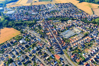 Vue aérienne de Rue Rülzheimer à Kuhardt dans le département Rhénanie-Palatinat, Allemagne