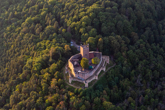 Vue aérienne de Château de Landeck à Klingenmünster à Klingenmünster dans le département Rhénanie-Palatinat, Allemagne