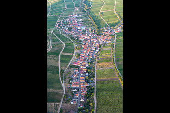 Ranschbach dans le département Rhénanie-Palatinat, Allemagne vue du ciel