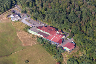 Vue aérienne de Cave à vin de Cléebourg à Rott dans le département Bas Rhin, France