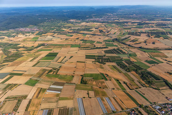 Vue aérienne de Palatinat du Sud incendié à Schweighofen dans le département Rhénanie-Palatinat, Allemagne