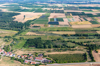 Vue aérienne de Réserve naturelle Billigheimer Bruch à le quartier Mühlhofen in Billigheim-Ingenheim dans le département Rhénanie-Palatinat, Allemagne