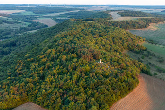 Vue aérienne de Statue de Marie à Poissons dans le département Haute Marne, France