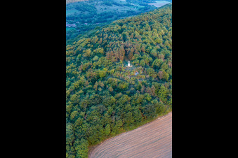 Photographie aérienne de Statue de Marie à Poissons dans le département Haute Marne, France