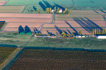 Reggio nell’Emilia