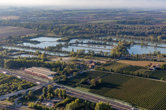 Campogalliano
