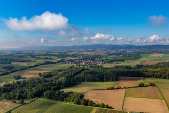Vue aérienne de Billigheimer Bruch depuis le nord-est à le quartier Ingenheim in Billigheim-Ingenheim dans le département Rhénanie-Palatinat, Allemagne