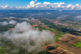 Quartier Billigheim in Billigheim-Ingenheim dans le département Rhénanie-Palatinat, Allemagne du point de vue du drone