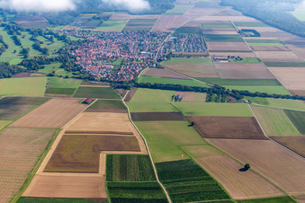 Vue oblique de Steinweiler dans le département Rhénanie-Palatinat, Allemagne