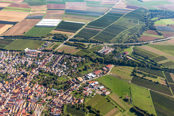 Vue d'oiseau de Insheim dans le département Rhénanie-Palatinat, Allemagne
